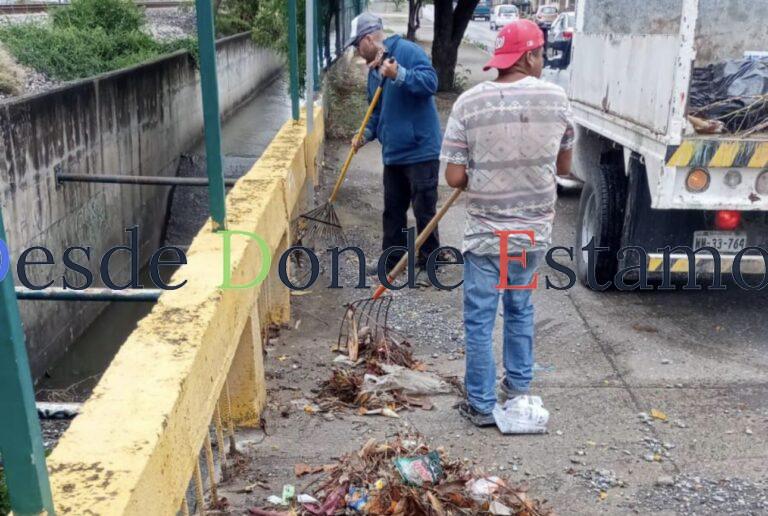 Realiza Ayuntamiento limpieza de drenes