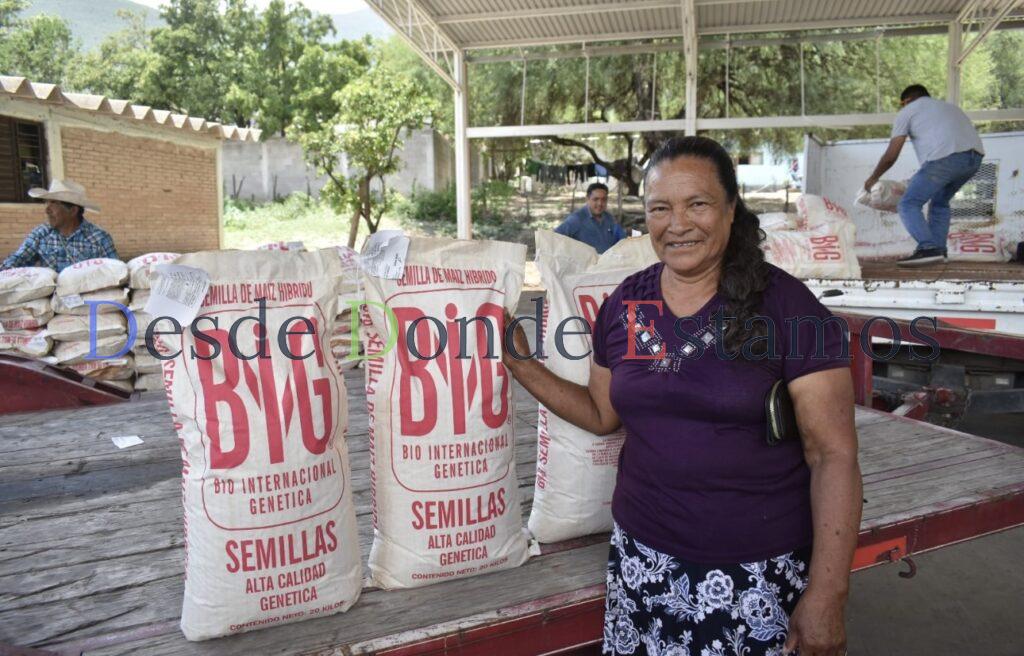 Abren ventanillas para el registro de semilla de calidad