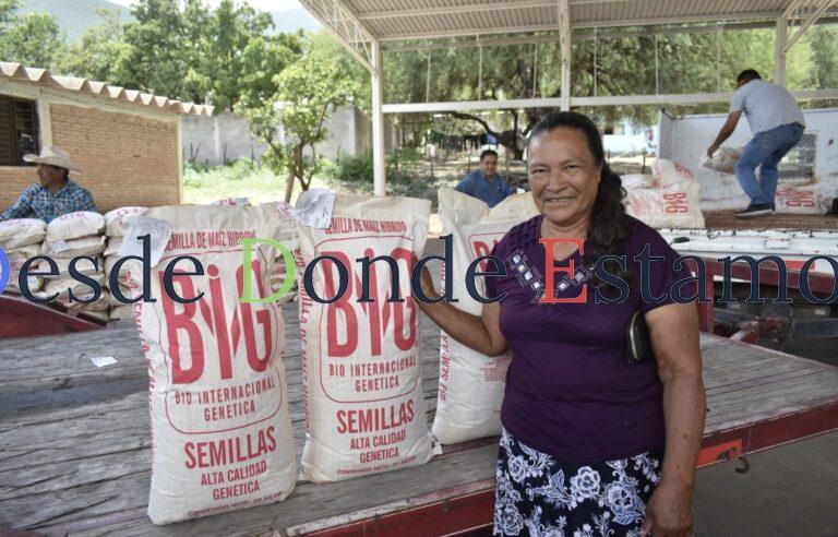 Abren ventanillas para el registro de semilla de calidad
