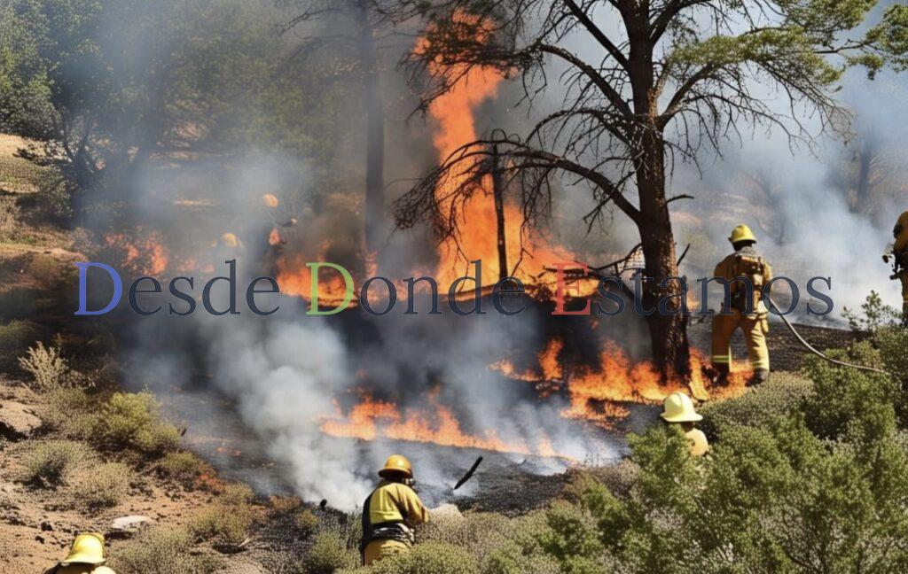 Evalúan nuevo incendio en la biósfera del Cielo