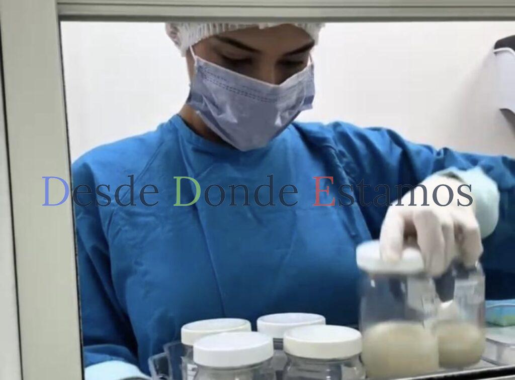 Conmemora SST Día Mundial de Donación de Leche Humana