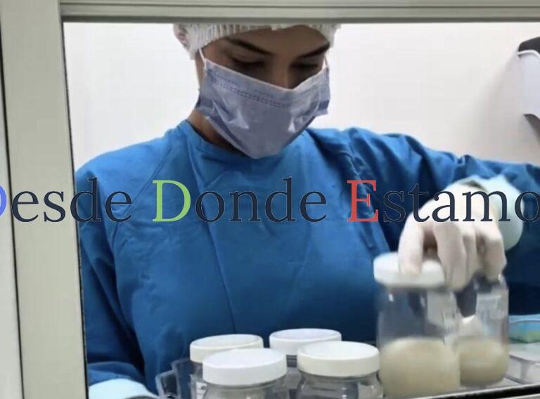 Conmemora SST Día Mundial de Donación de Leche Humana