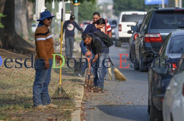 Intenso programa de limpieza en calles y avenidas