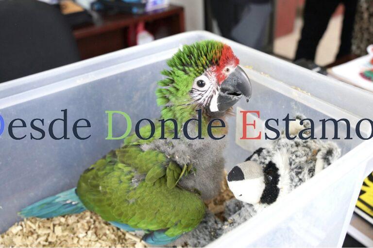 Zoológico de Nuevo Laredo da la bienvenida a nuevos integrantes