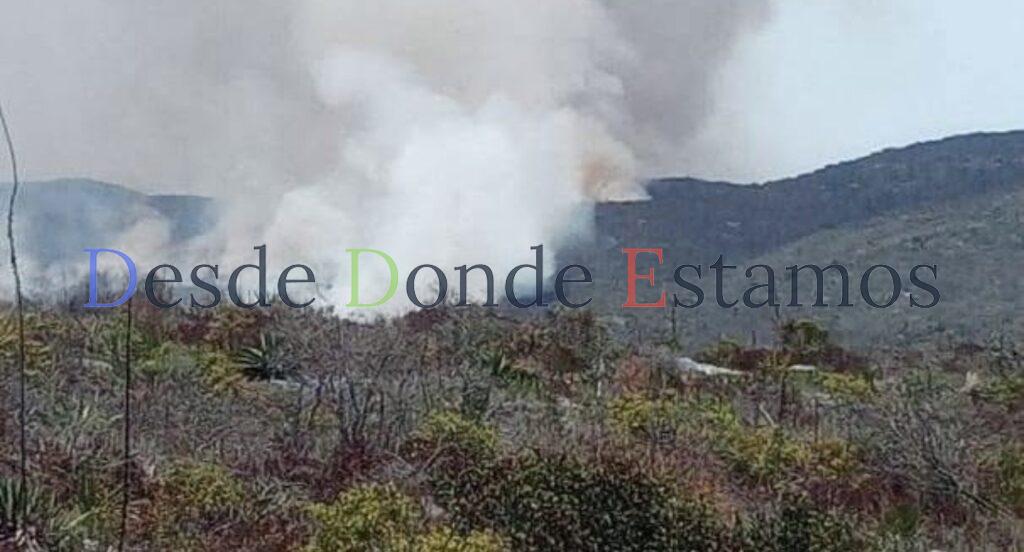 Liquidan en 30 porciento siniestro en biosfera de El Cielo