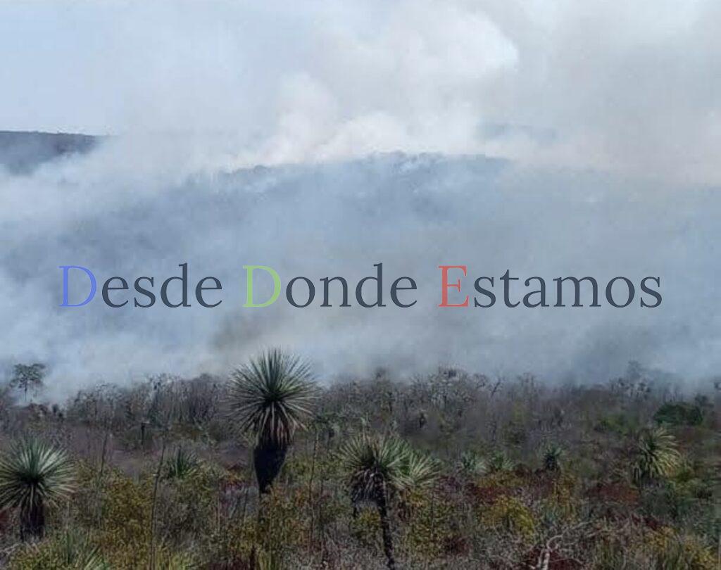 Diez años de cárcel a quienes provoquen incendios forestales