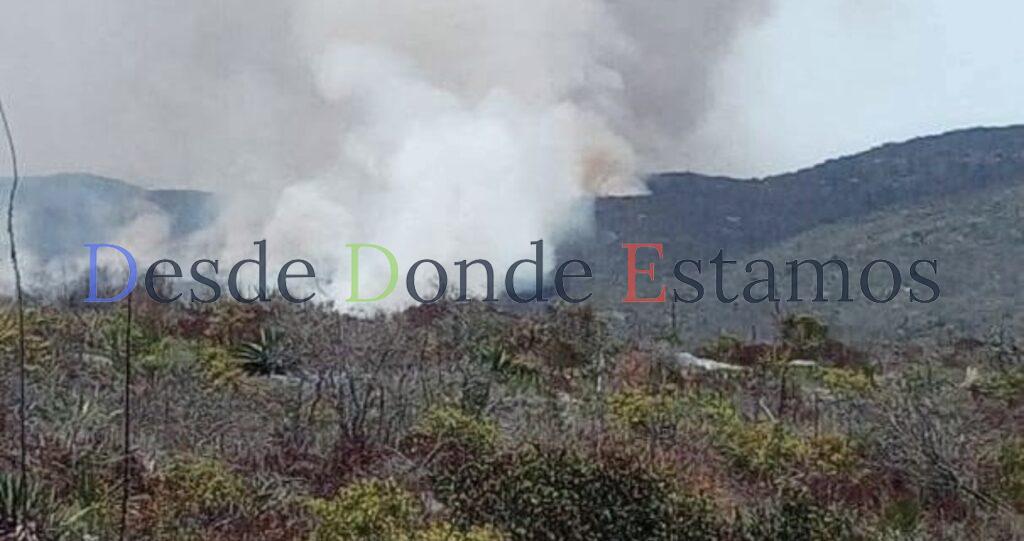 Causan errores humanos 20 incendios y siniestran 17 mil hectáreas