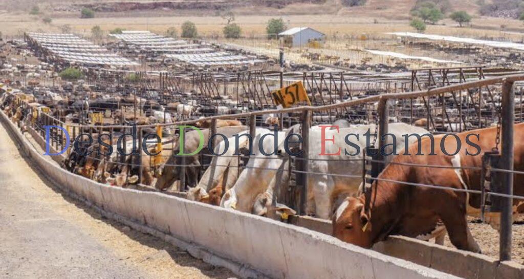 Confían en elevar rango de estatus sanitario