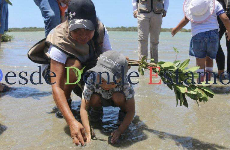Transforman litoral tamaulipeco con acciones que protegen y educan