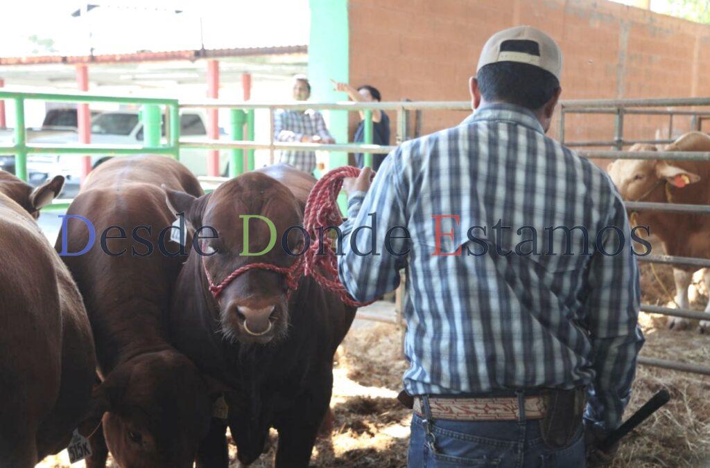 Gobierno de Nuevo Laredo impulsa el desarrollo ganadero