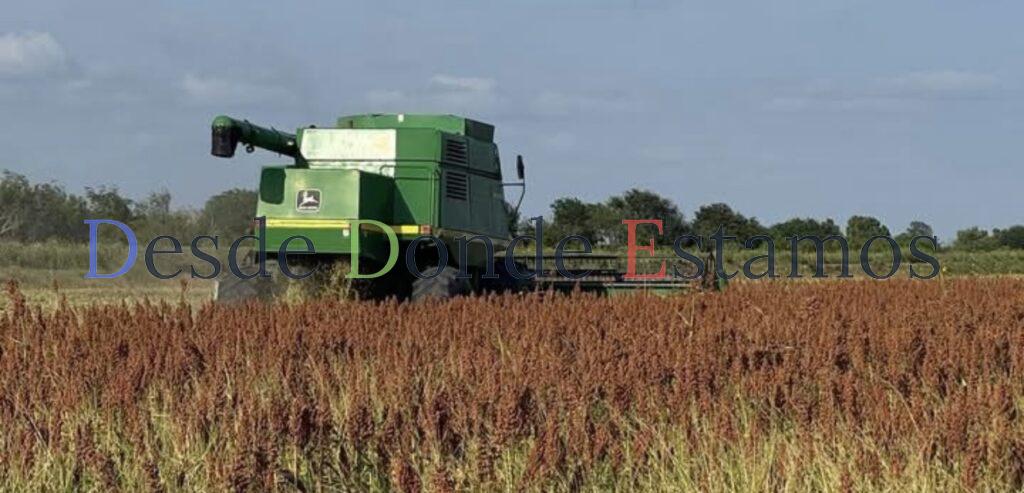 Pierde valor precio de sorgo por baja del dólar