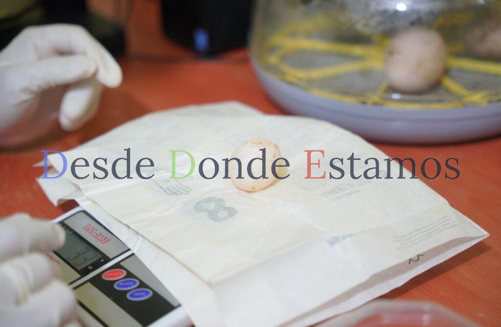 Fortalecen conservación de especies en zoológico de Nuevo Laredo