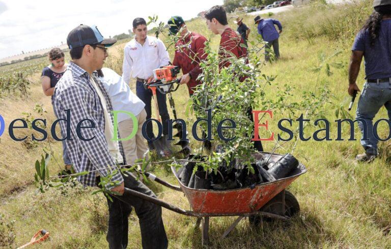 Realiza INJUVE Jornada de Reforestación Comunitaria