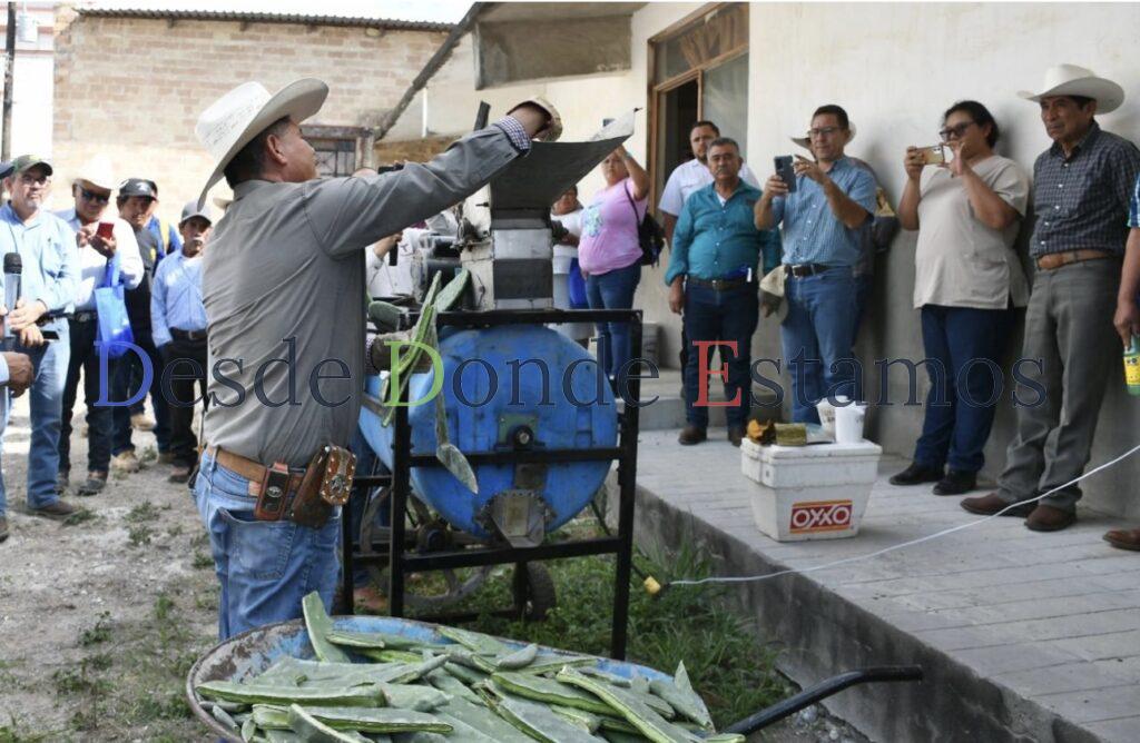 Promueven el uso del nopal como estrategia alimentaria sustentable
