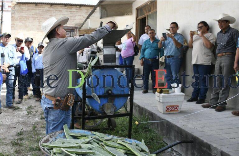 Promueven el uso del nopal como estrategia alimentaria sustentable