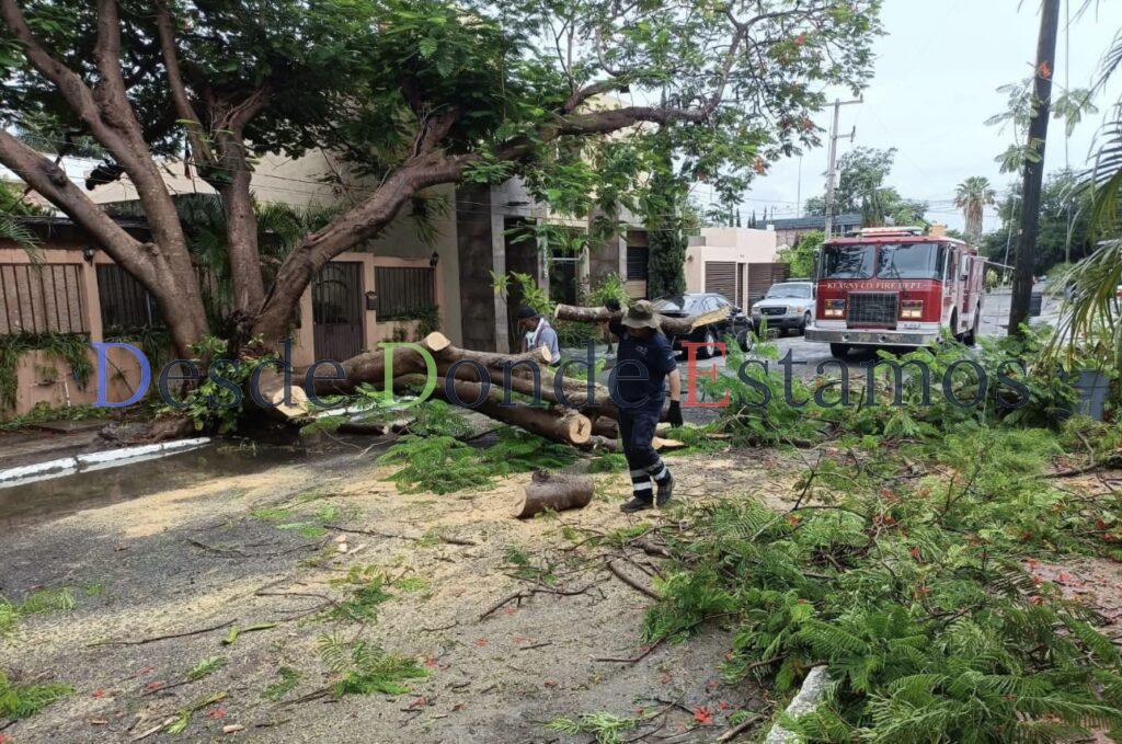 Activa Gobierno de Victoria operativo por periodo de lluvias