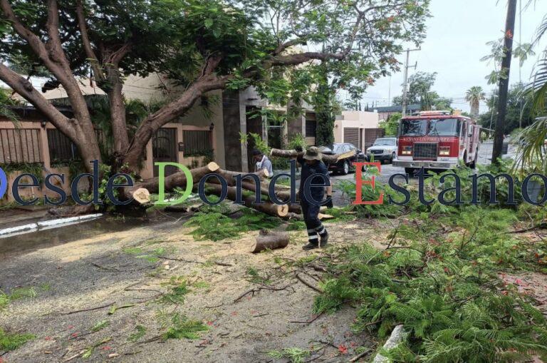 Activa Gobierno de Victoria operativo por periodo de lluvias
