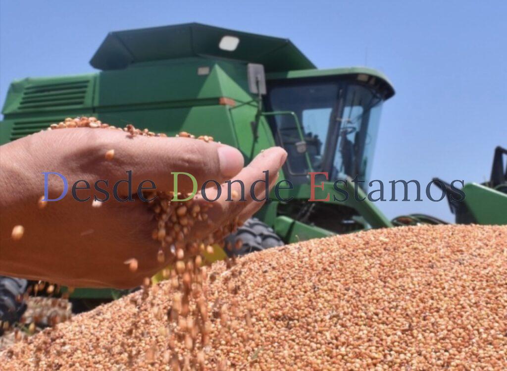 Buscarían comprador de la producción de sorgo de Tamaulipas