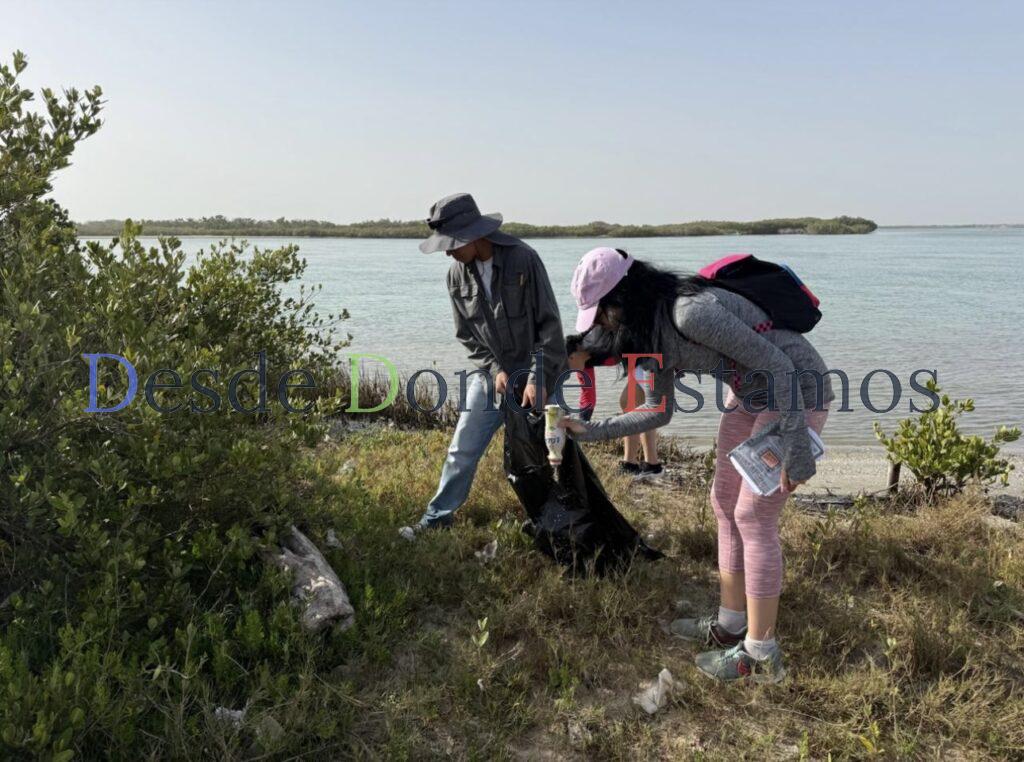 Colabora UAT en conservación del mangle en litoral tamaulipeco
