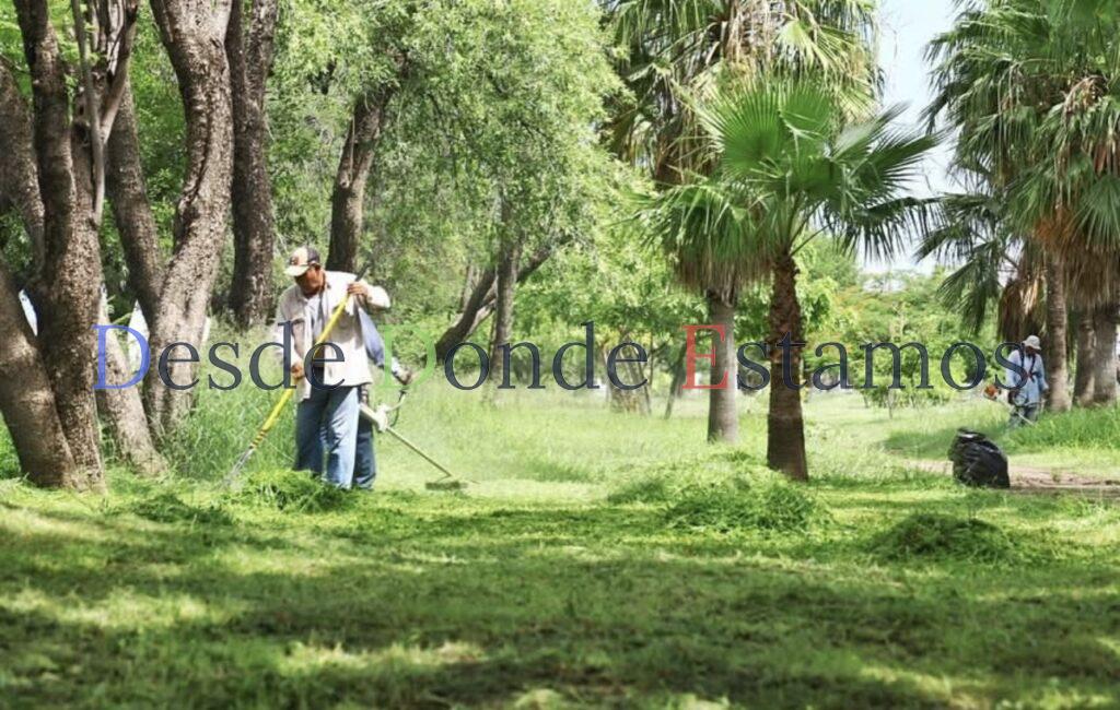 Limpian maleza en el bulevar Fidel Velázquez
