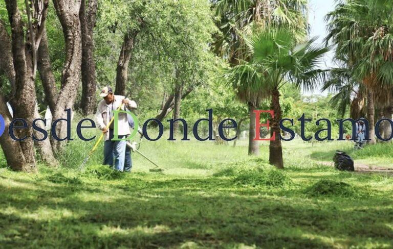 Limpian maleza en el bulevar Fidel Velázquez