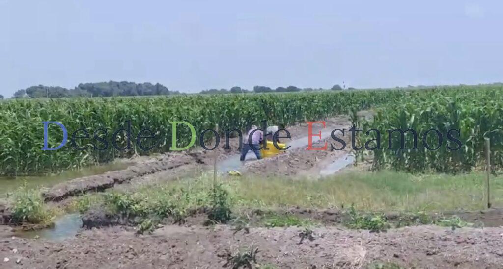 Lluvias de Barry favorecen el campo