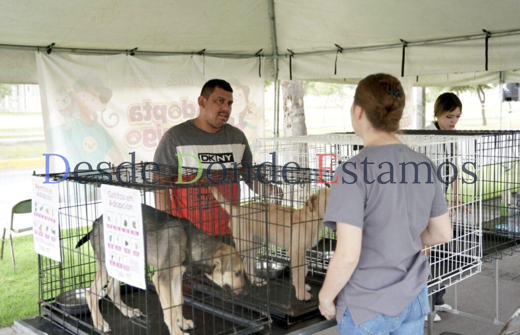 Relizan Feria de Adopciones, fomentan respeto a mascotas