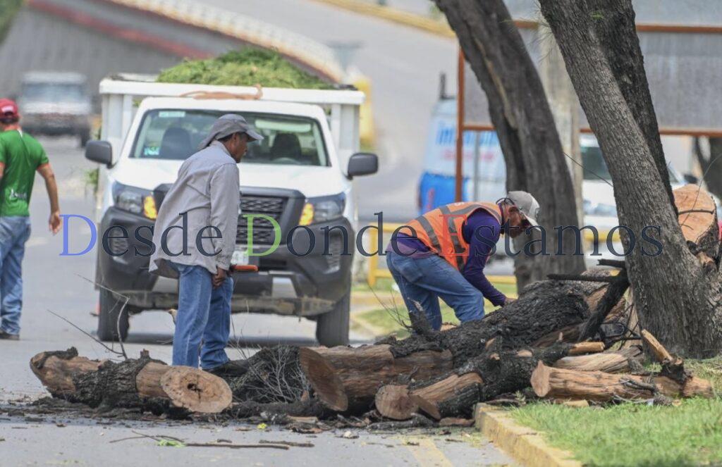 Aplicará Municipio más 3,500 m2 de asfalto en bacheo