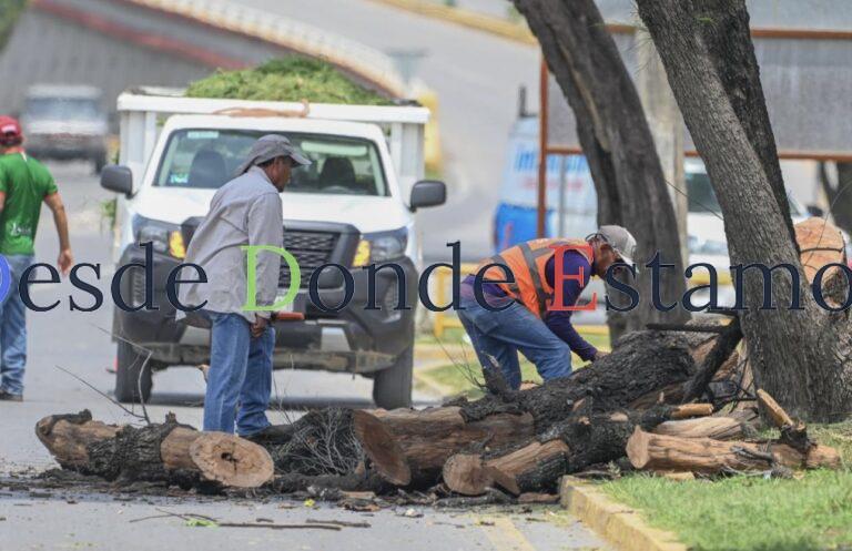 Aplicará Municipio más 3,500 m2 de asfalto en bacheo