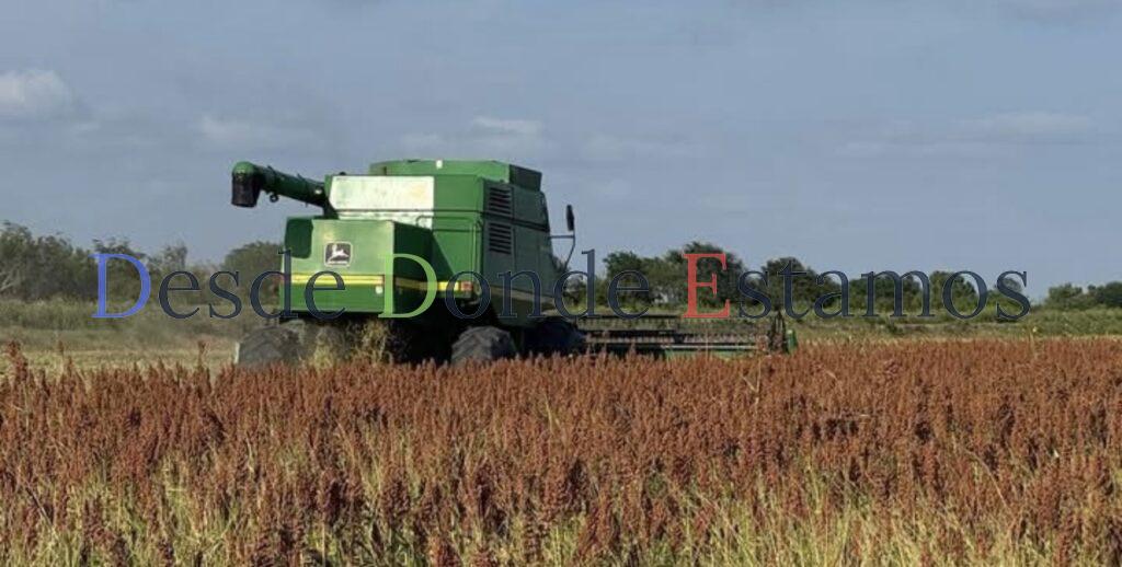 La agricultura nacional no puede seguir con políticas públicas equivocadas