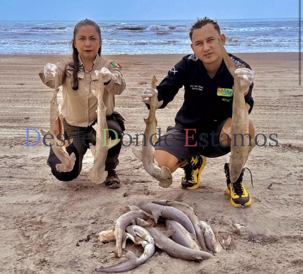 Urge modificar vedas para la pesca