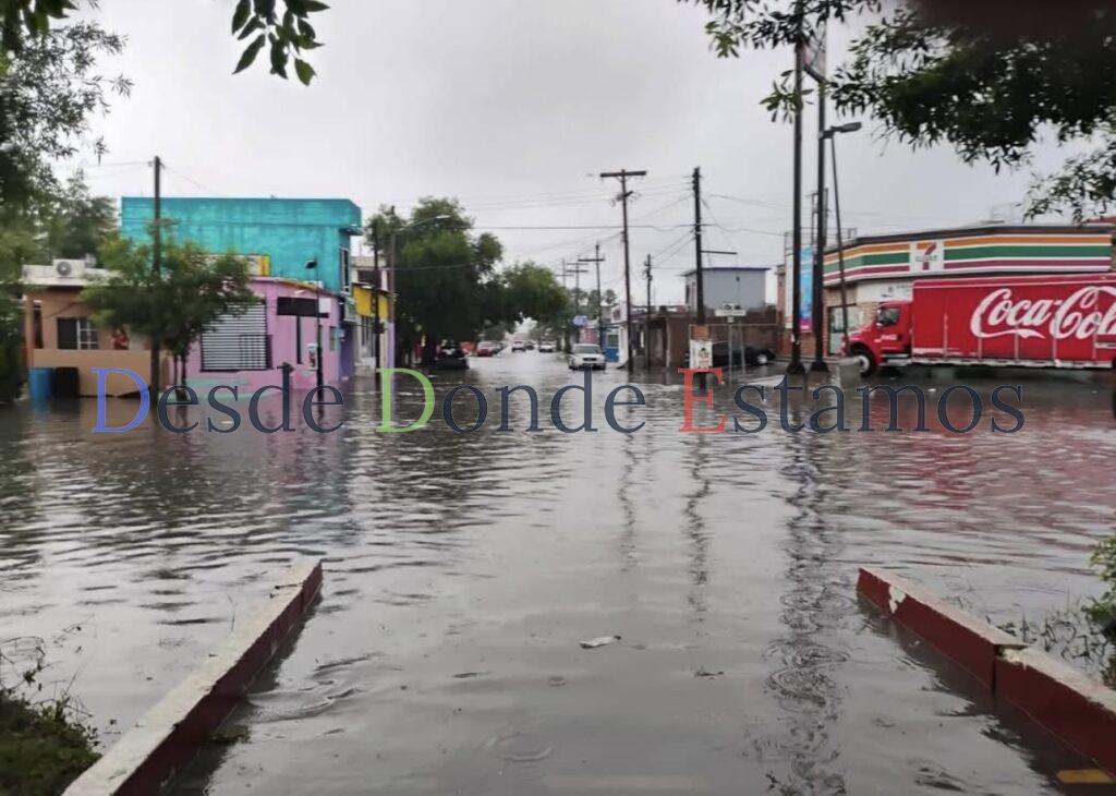 Durante la emergencia de las inundaciones capturan 400 cocodrilos