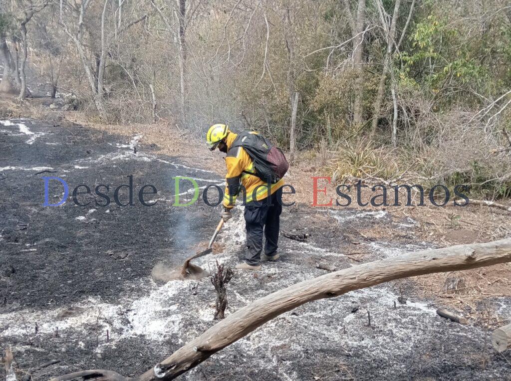 Lluvias dan tregua a incendios forestales