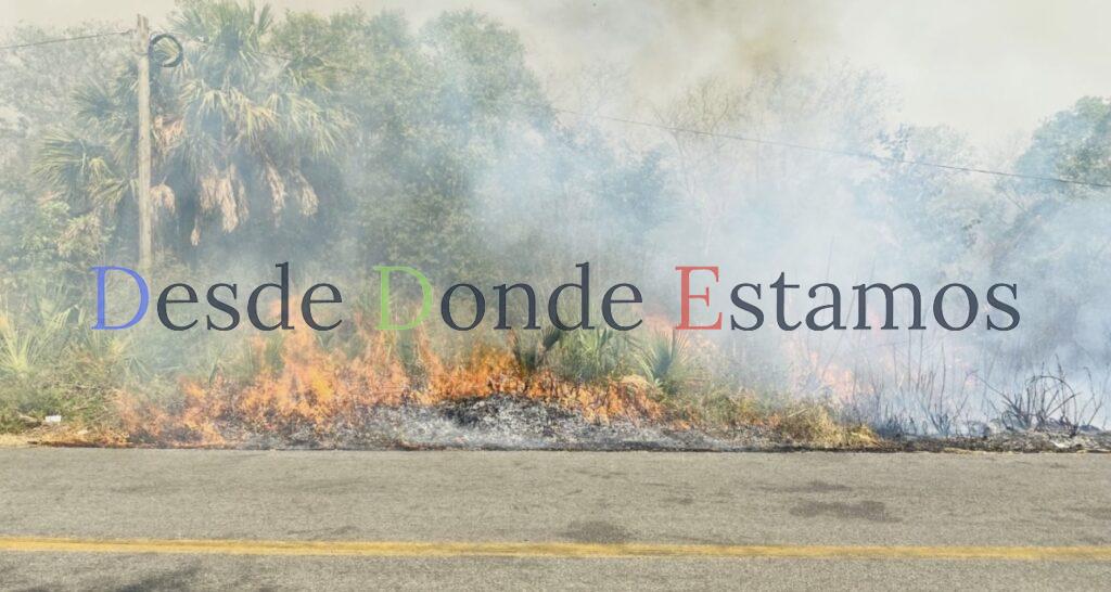 Pronostica Conafor mínimos incendios forestales