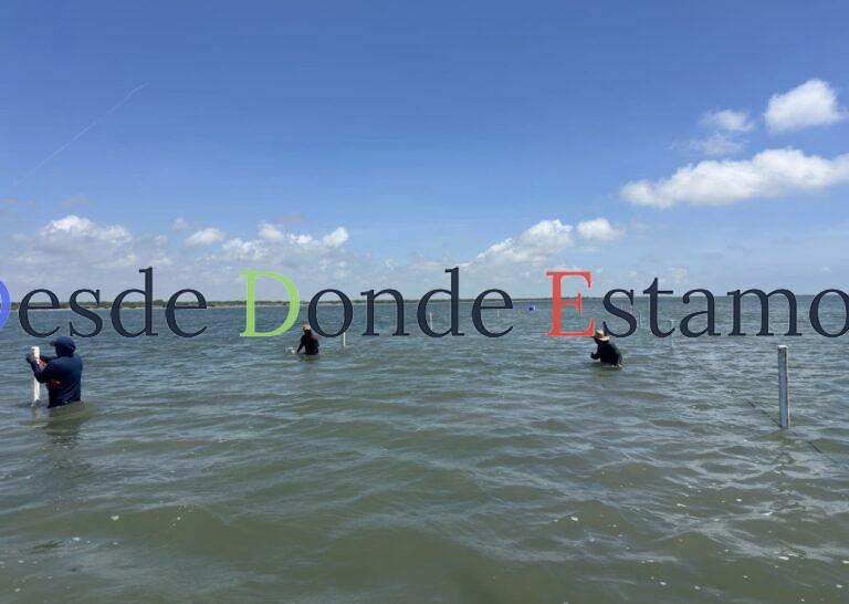 Refuerzan capacitación para impulsar acuacultura sustentable de ostión