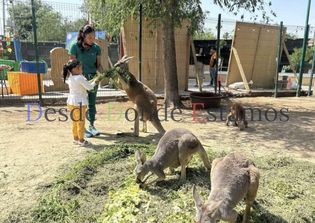Zoo de Nuevo Laredo ofrece divertidas interacciones animales