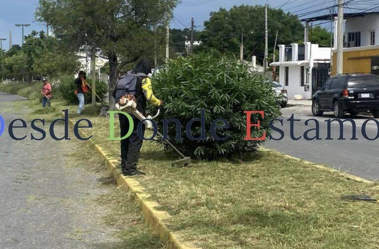 Evalúa alcalde trabajo de servicios públicos