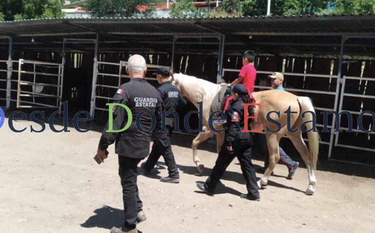 Apoya Agrupamiento Montado con equinoterapia a personas con discapacidad