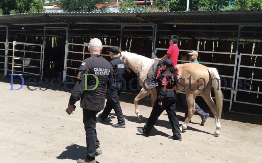 Apoya Agrupamiento Montado con equinoterapia a personas con discapacidad