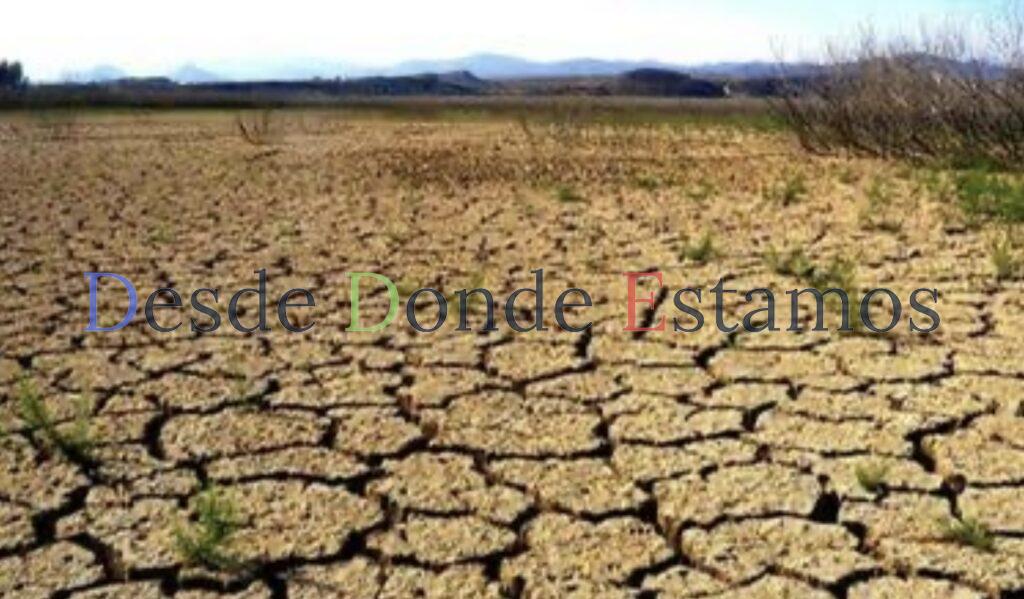 Buscan amortiguar impactos de cambio climático en Tamaulipas