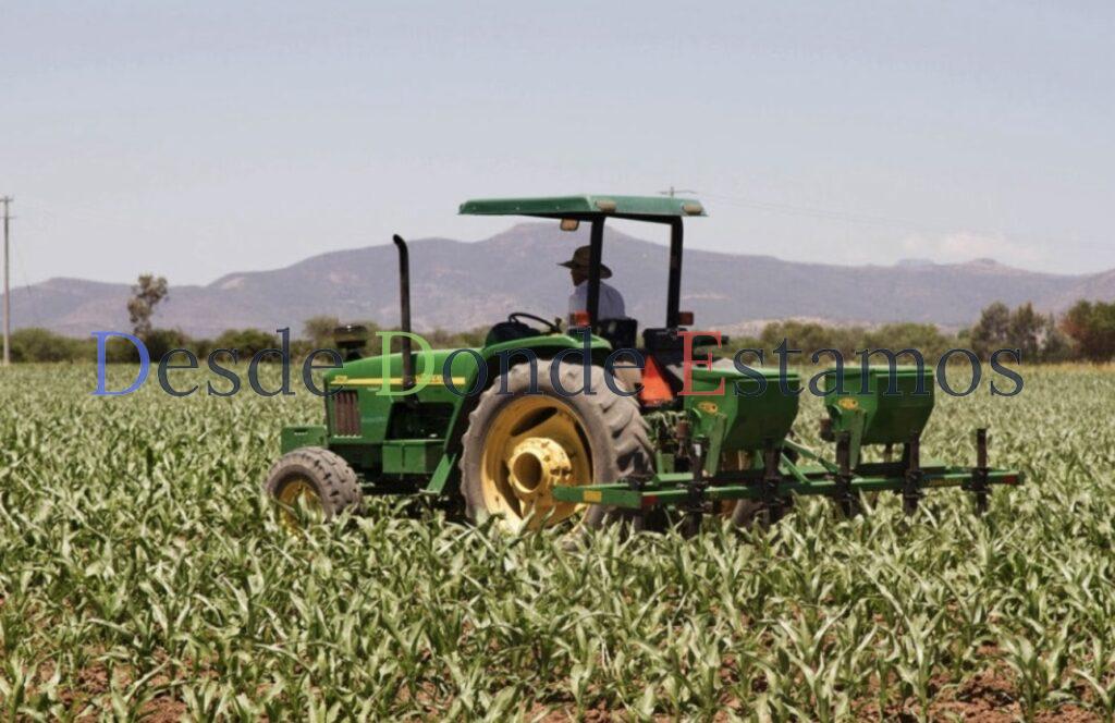 Baja producción agrícola por uso de agua contaminada en riego