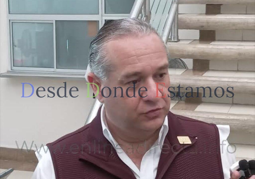 Se mantendrá la figura, pero no la forma de llegar de los plurinominales