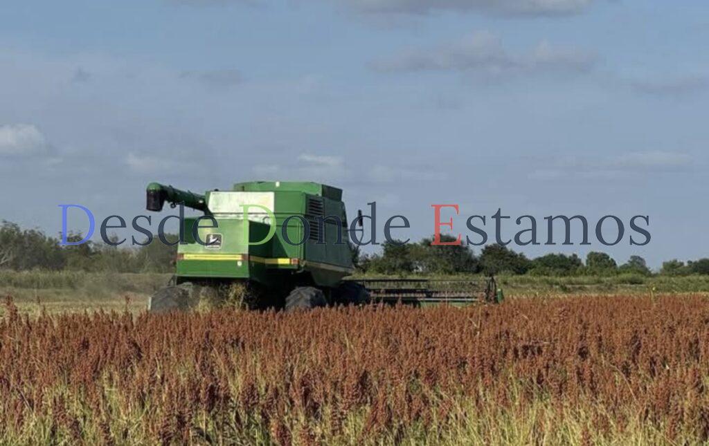 El apoyo compensatorio no es dádiva: es fruto de lucha y gestión: FEPAT