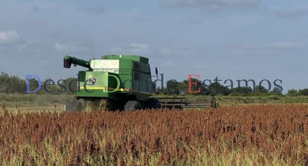 Sorgo: el precio justo no se resuelve con actos protocolarios
