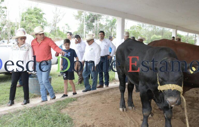 Incentiva Tamaulipas fortalecimiento genético del sector pecuario