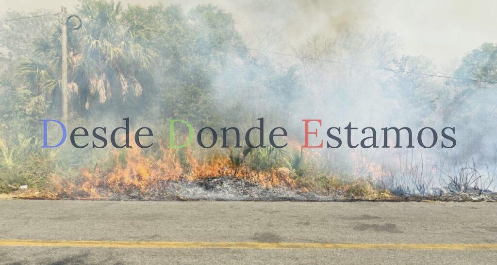 Pronostica Conafor mínimos incendios forestales