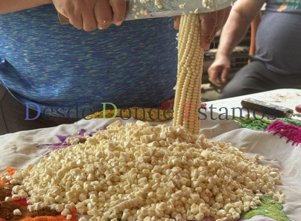 Factores climáticos disminuyen producción agrícola