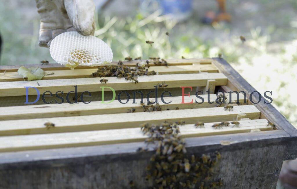 Protegen en Nuevo Laredo la biodiversidad