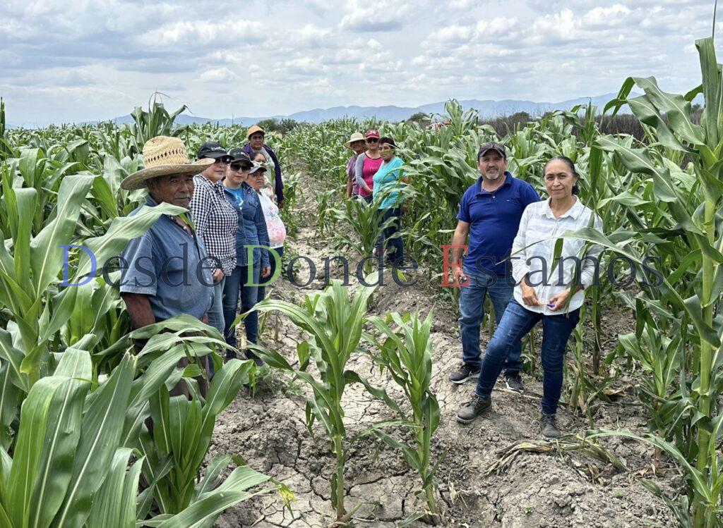 Impulsan productividad y sostenibilidad del sector agropecuario tamaulipeco