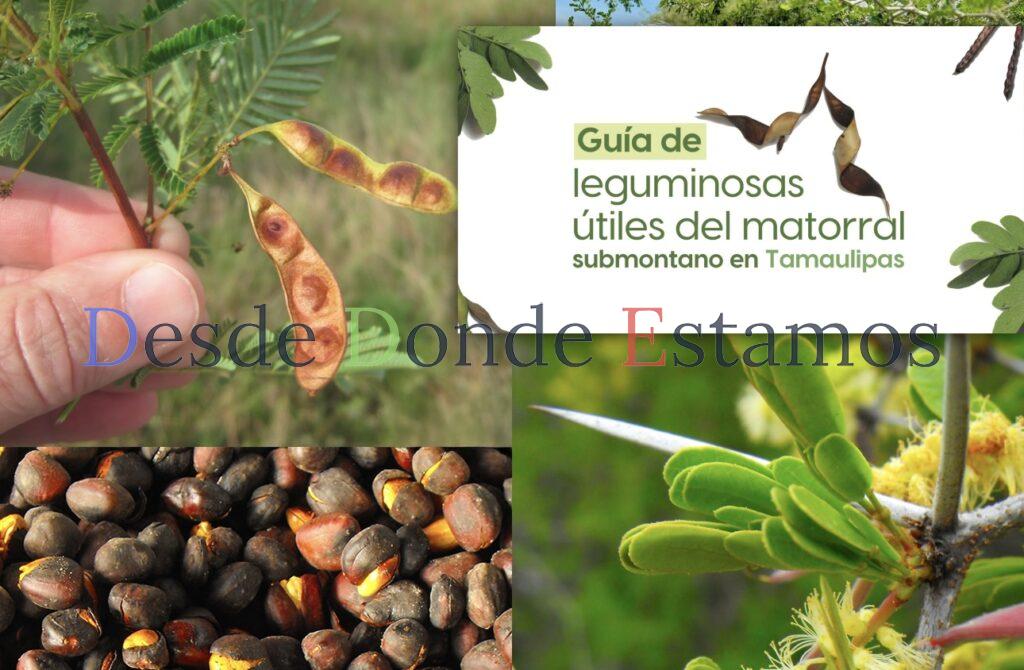 UAT invita a conocer sobre leguminosas y su aprovechamiento